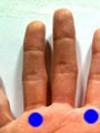 人差し指や薬指の付け根（手の平側）